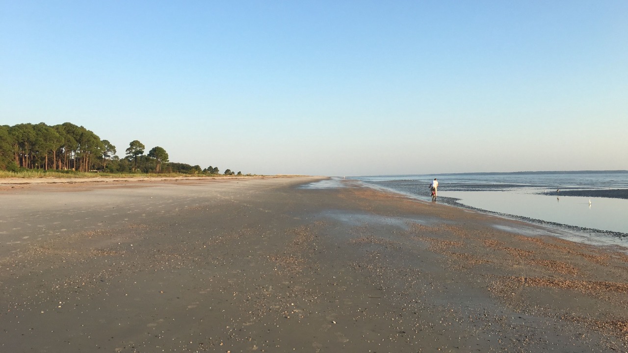 Photo of Others in Folly Field
