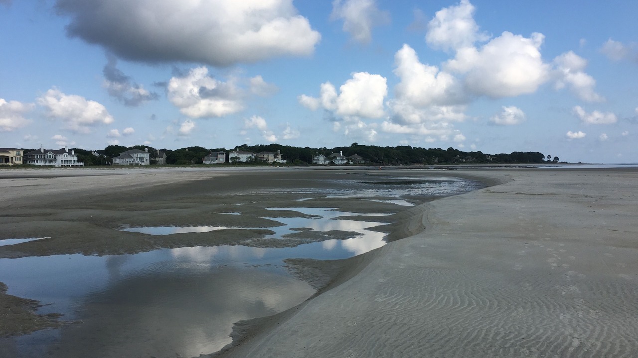 Photo of Others in Folly Field