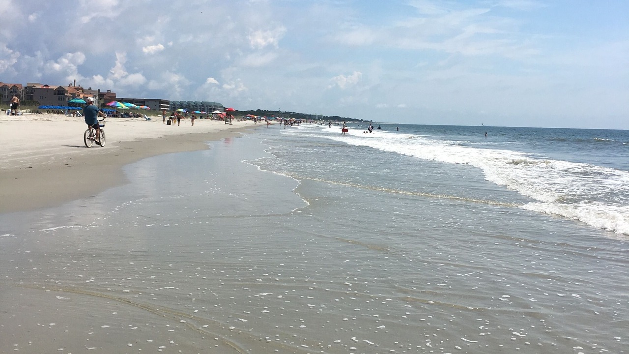 Photo of Others in Folly Field