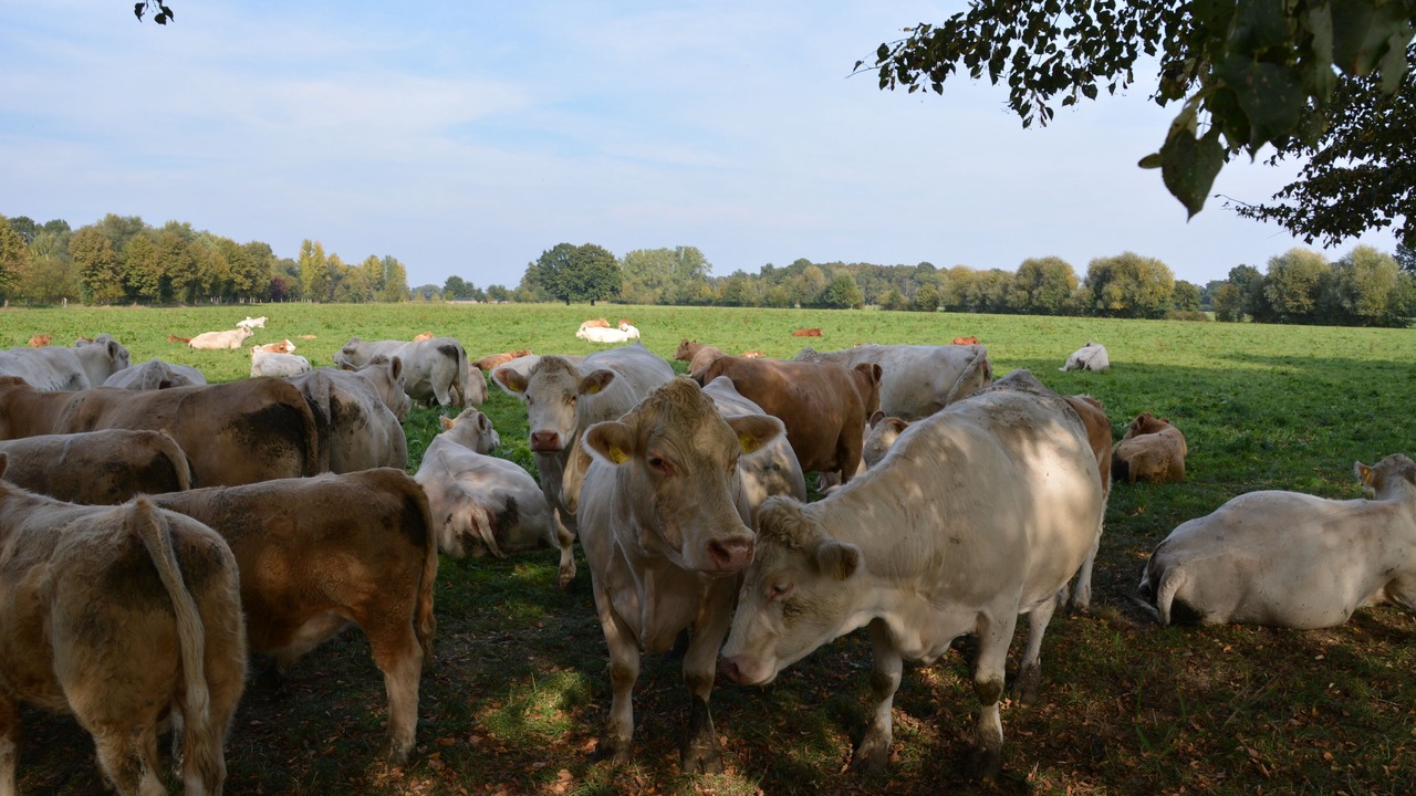 Photo of Outdoor in Niedergurig