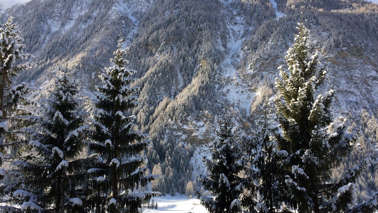 Photo of Outdoor in Heiligenblut