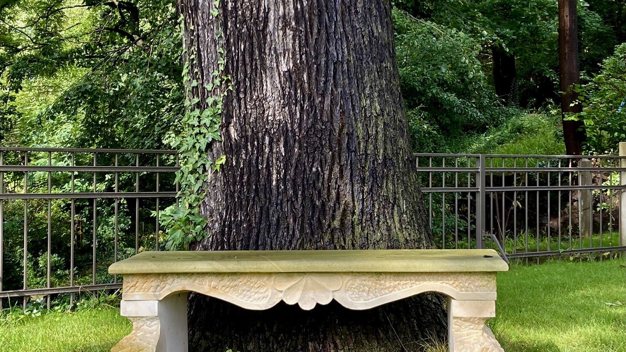 Photo of Outdoor in Loschwitz