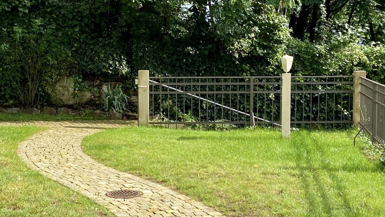 Photo of Outdoor in Loschwitz