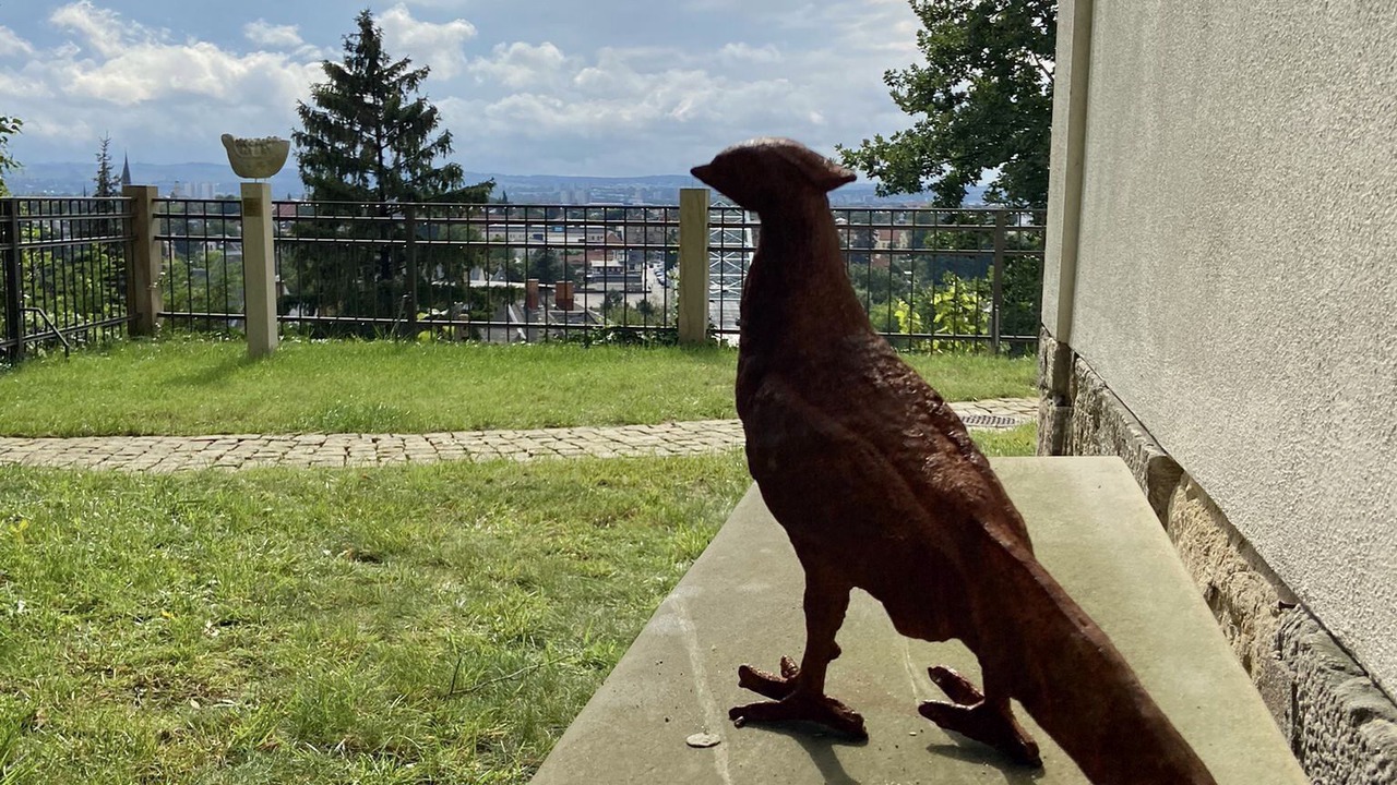 Photo of Outdoor in Loschwitz