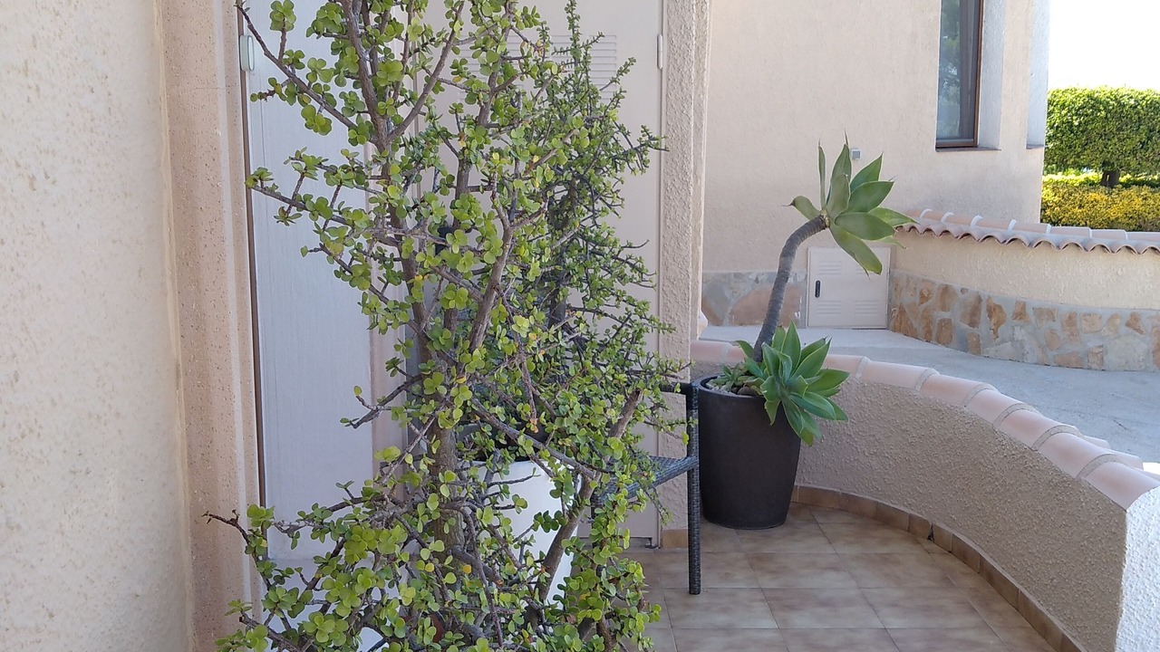 Photo of Outdoor in Benidoleig
