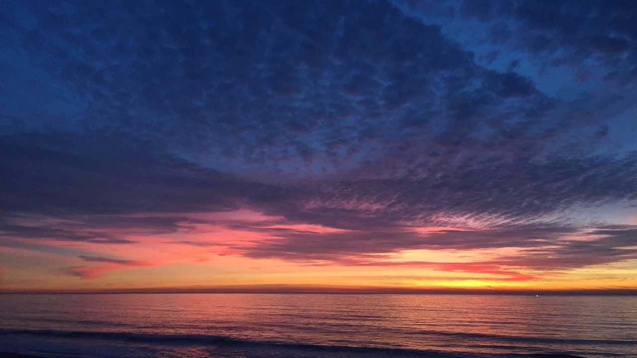 Photo of Others in Half Moon Bay