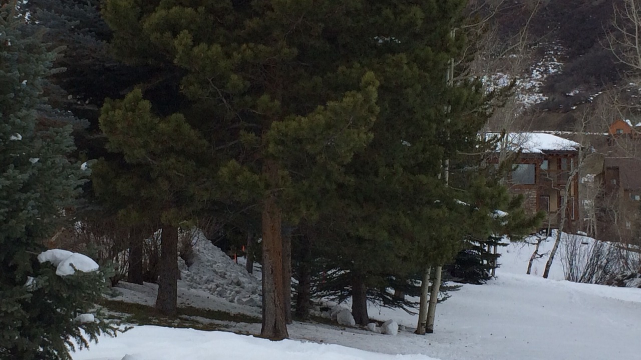 Photo of Others in Snowmass Village