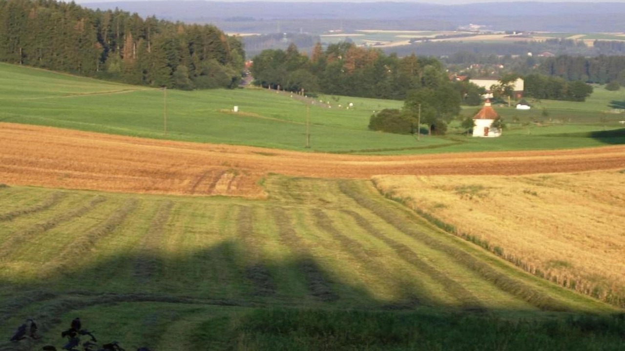 Photo of Others in Guetenbach