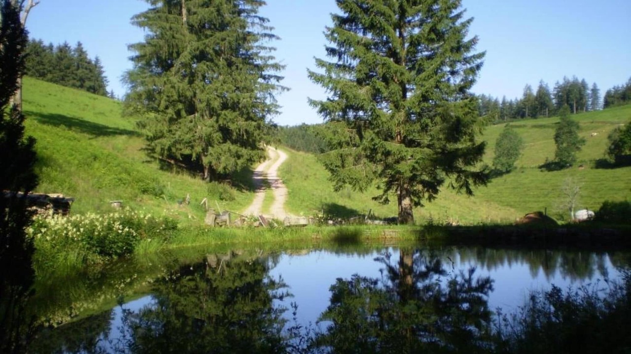 Photo of Others in Guetenbach