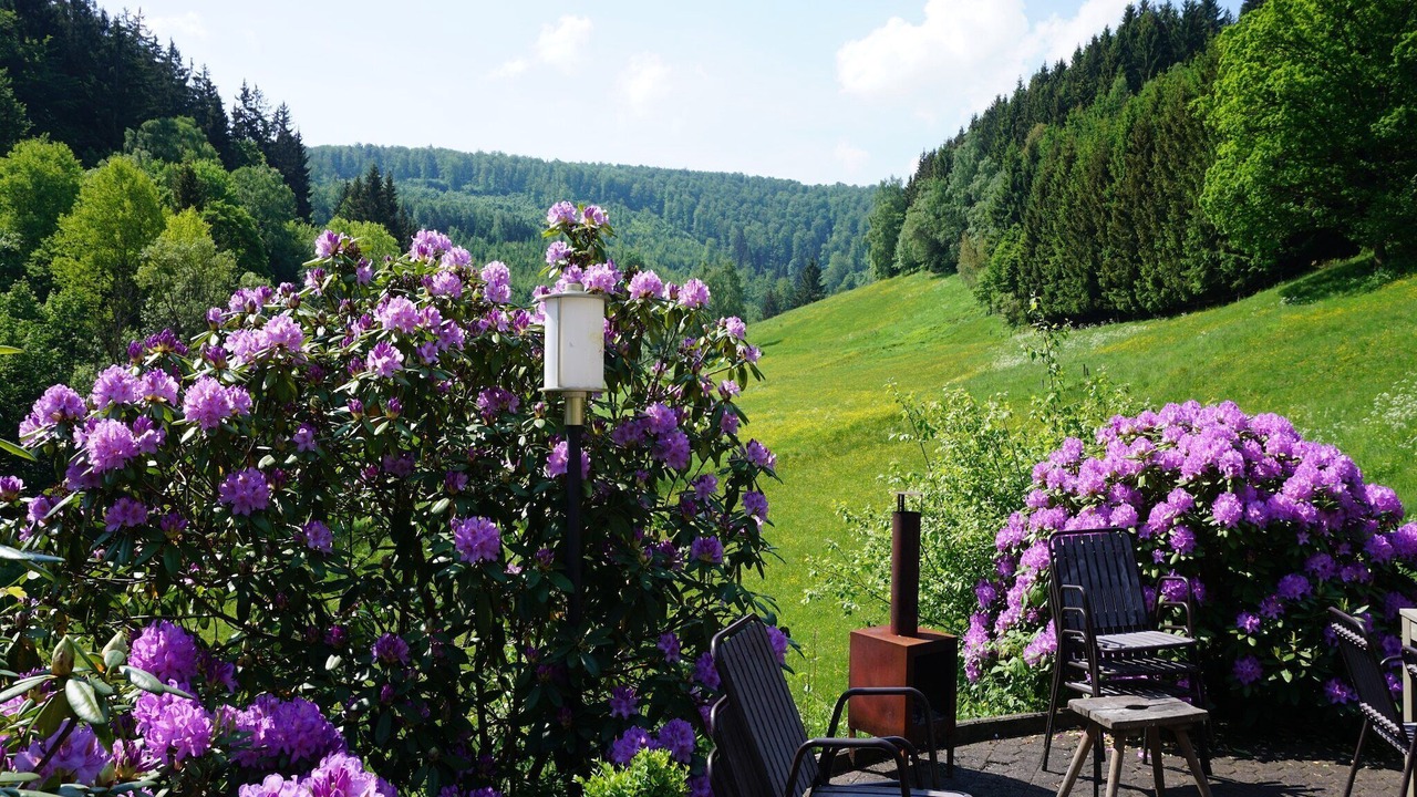 Photo of Others in Winterberg