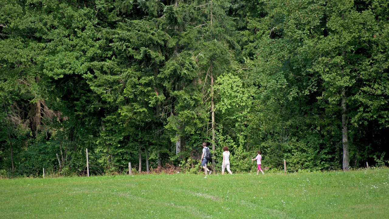 Photo of Others in Woergl