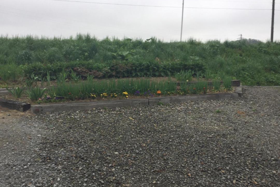 Photo of Outdoor in Kutchan