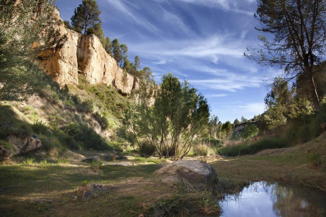 Photo of Others in Requena