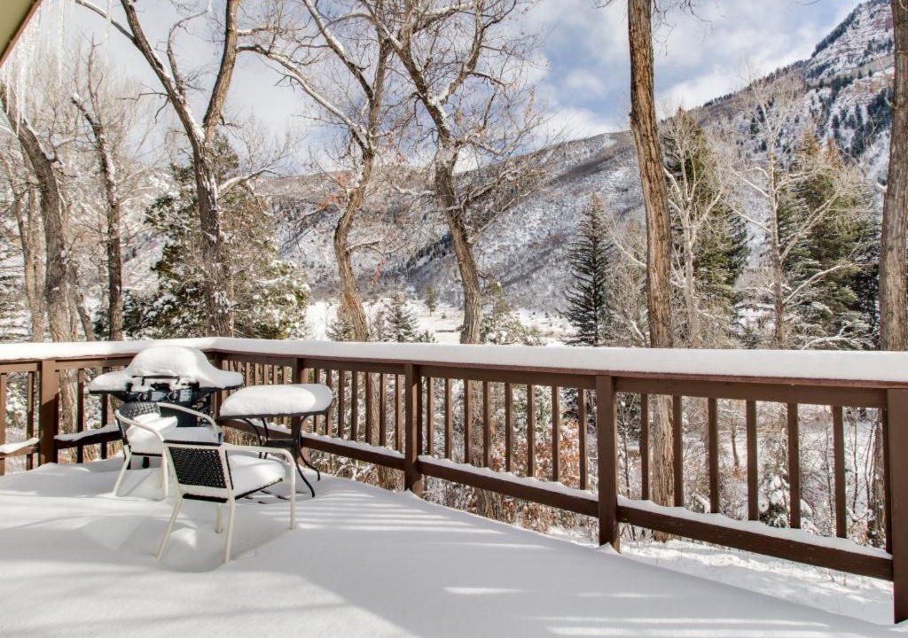 Photo of Patio Balcony in Carbondale