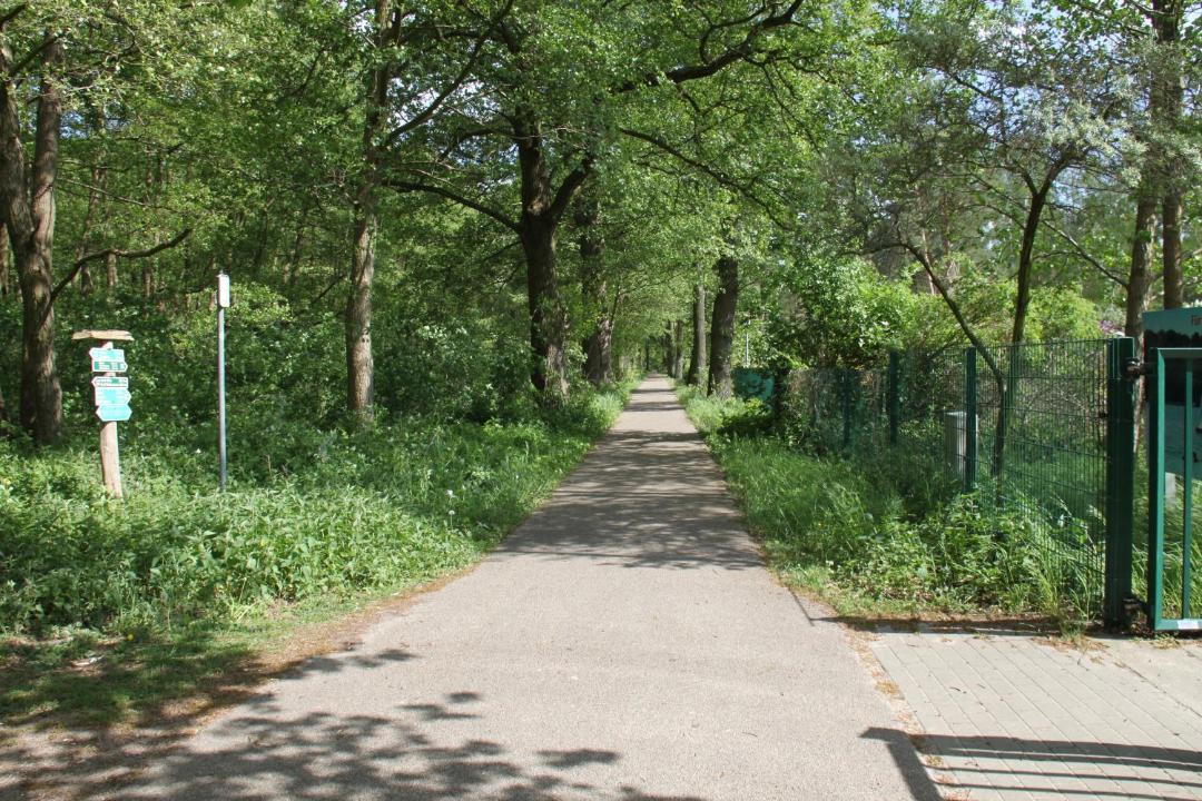 Photo of Others in Joachimsthal