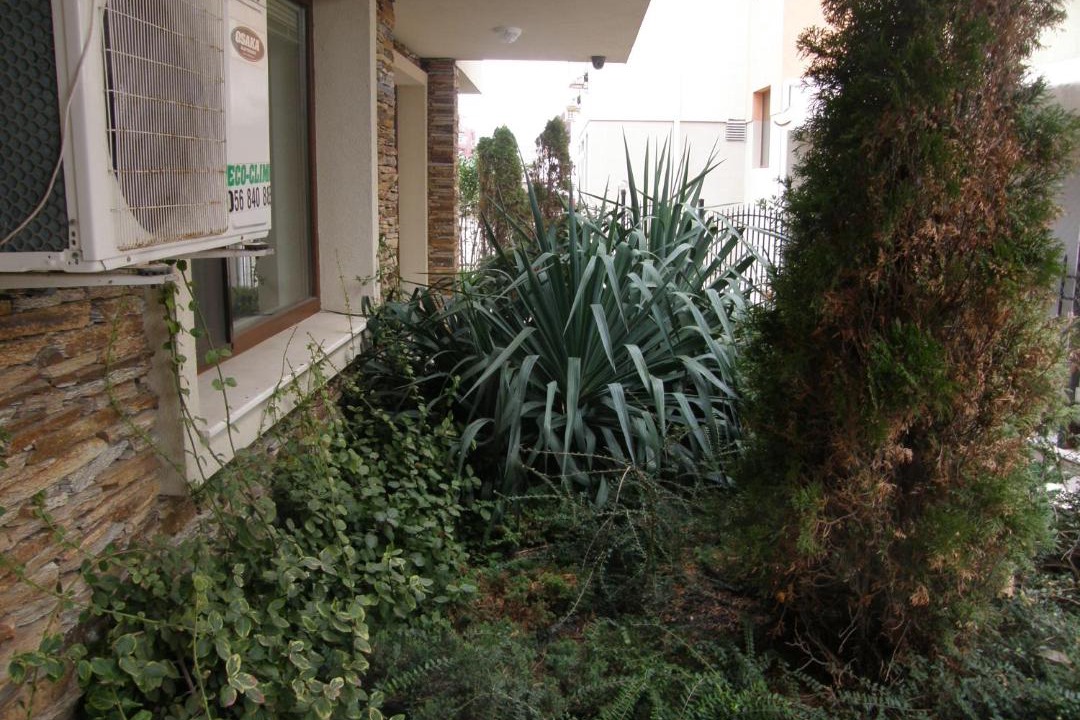 Photo of Others in Sozopol
