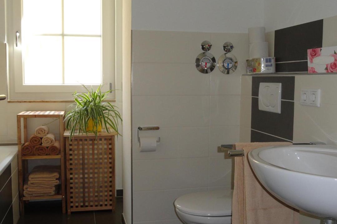 Photo of Bathroom in Rust