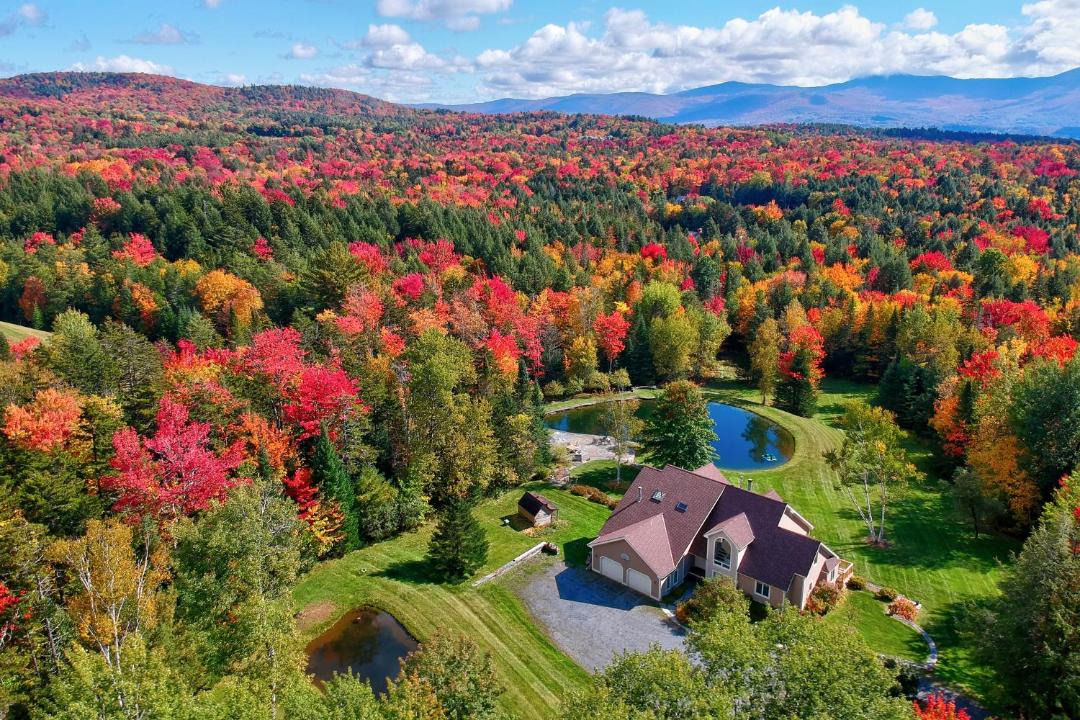 Photo of Others in Stowe Area