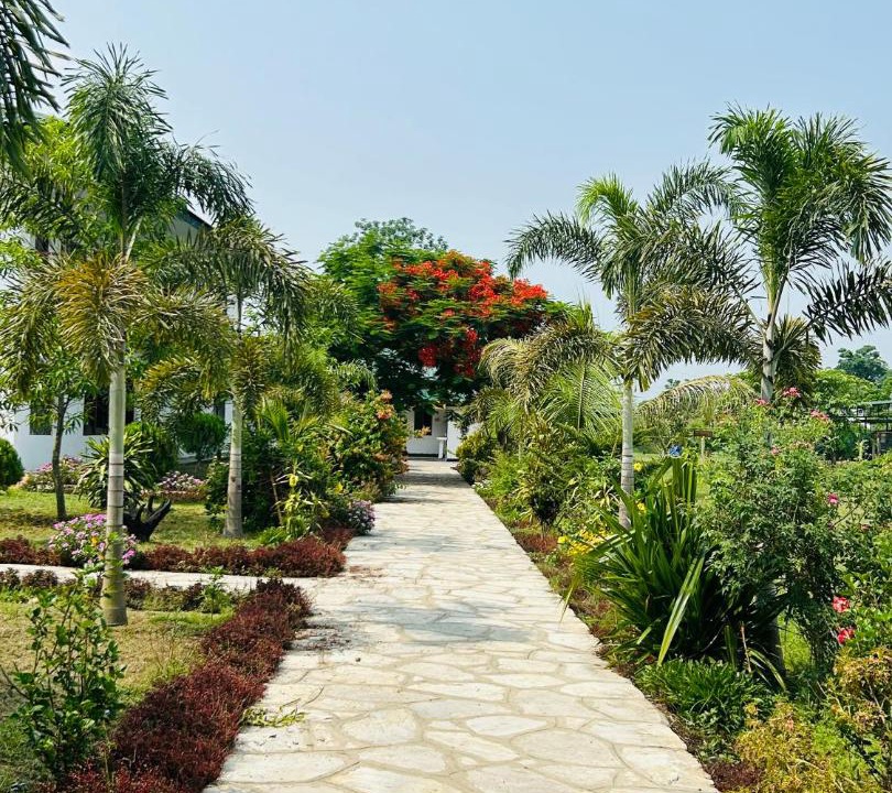 Photo of Outdoor in Chitwan District