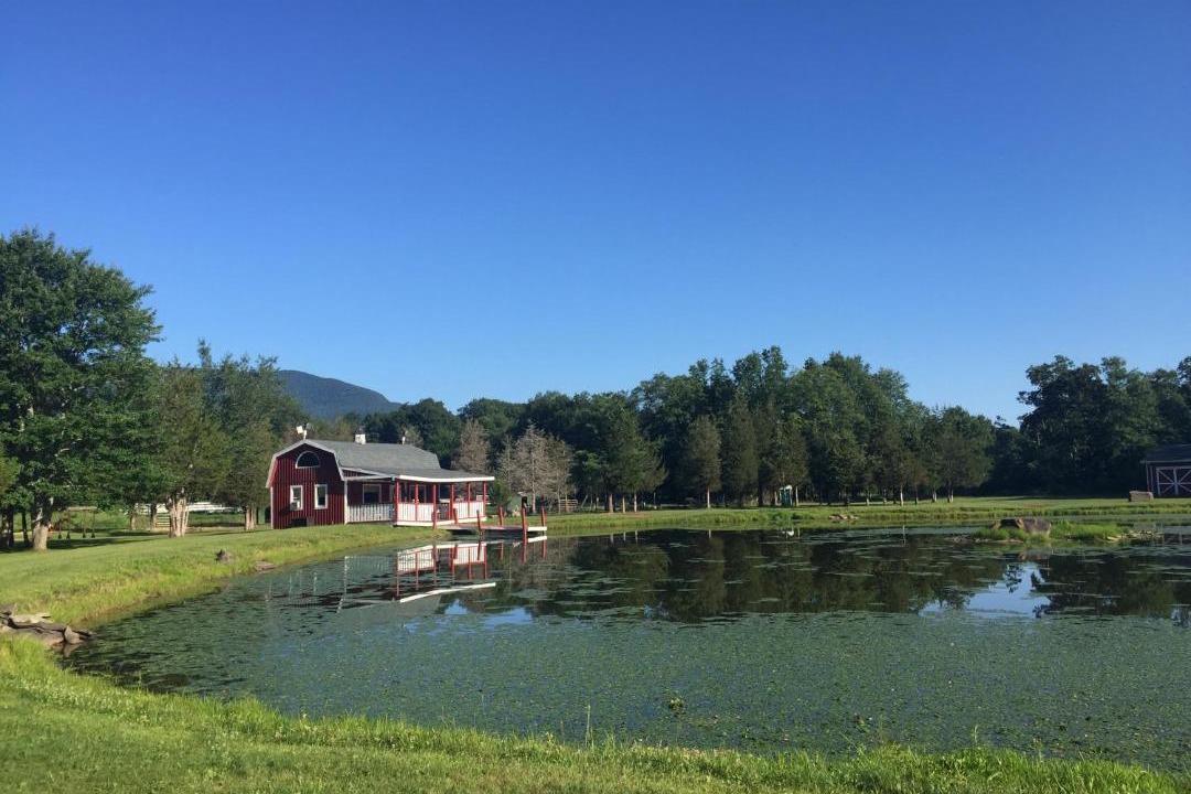Photo of Others in Catskill