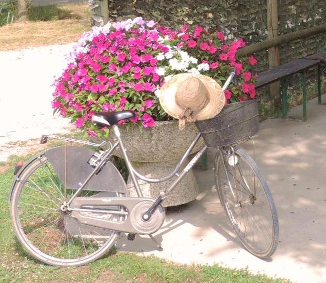 Photo of Others in Varmo