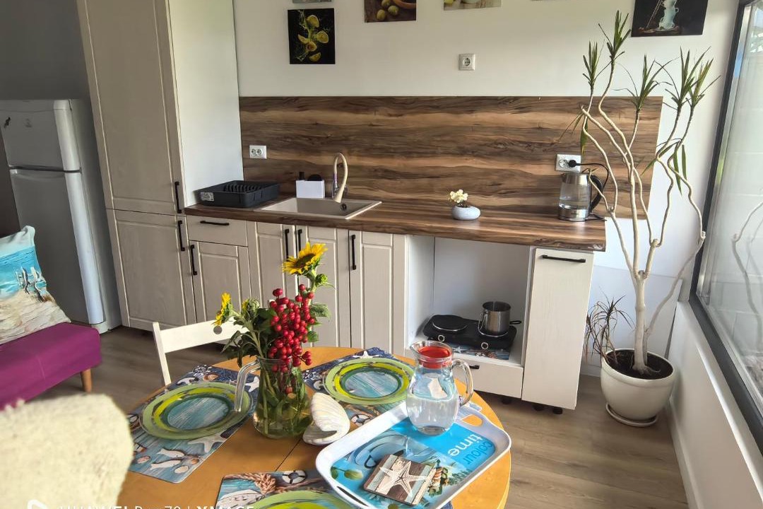 Photo of Kitchen in Kranevo