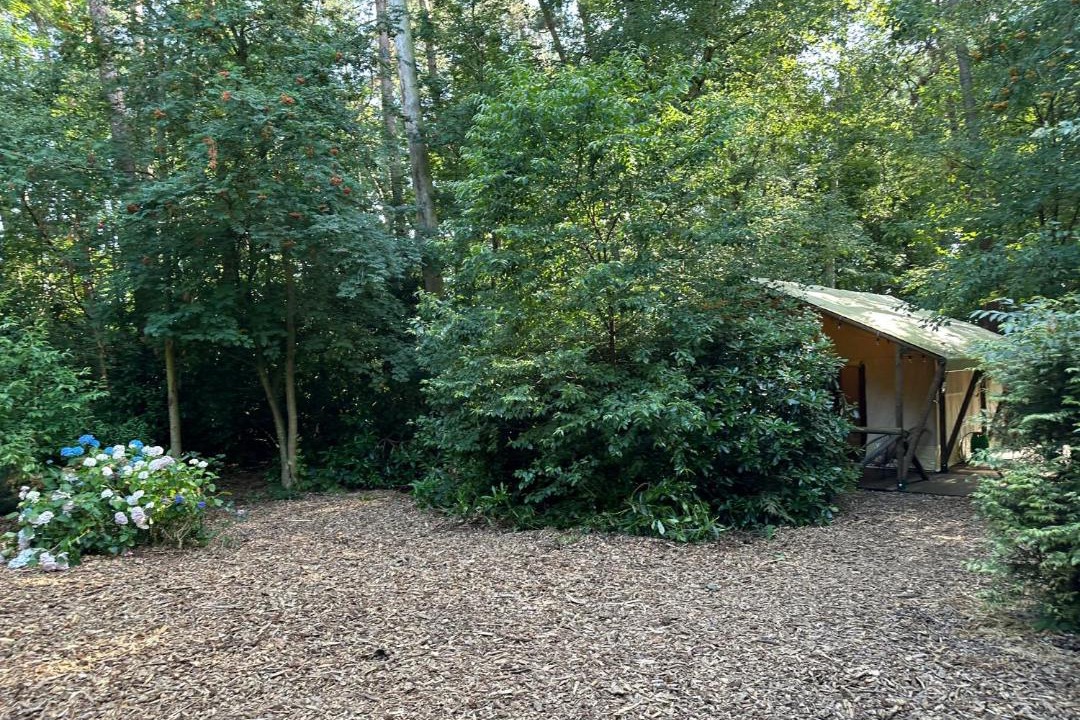 Photo of Others in Zedelgem