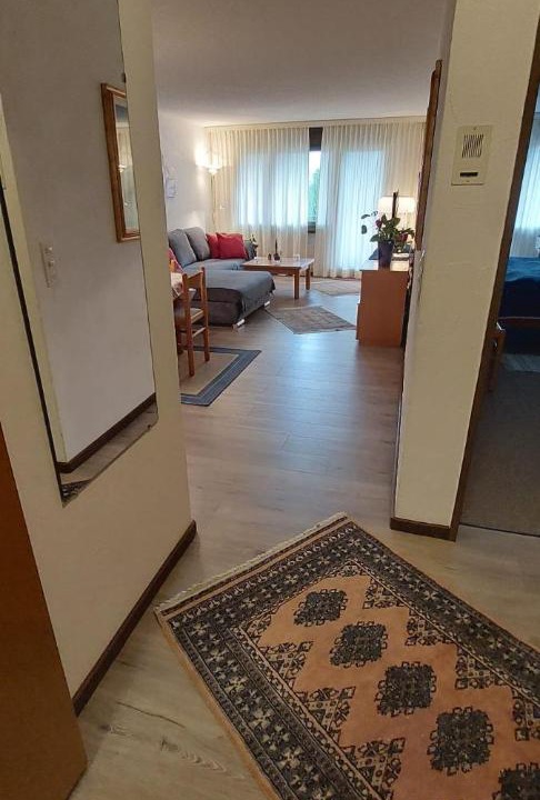 Photo of Others in Disentis