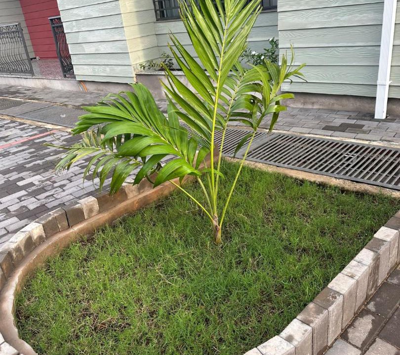 Photo of Outdoor in Freetown