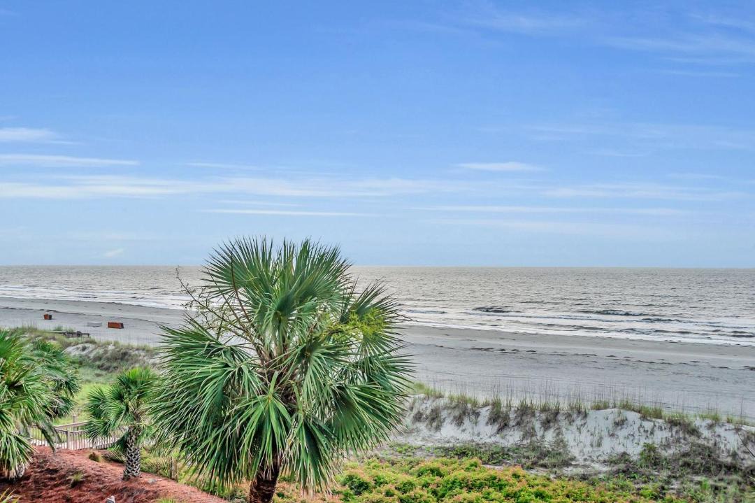 Photo of Others in Beach Lagoon