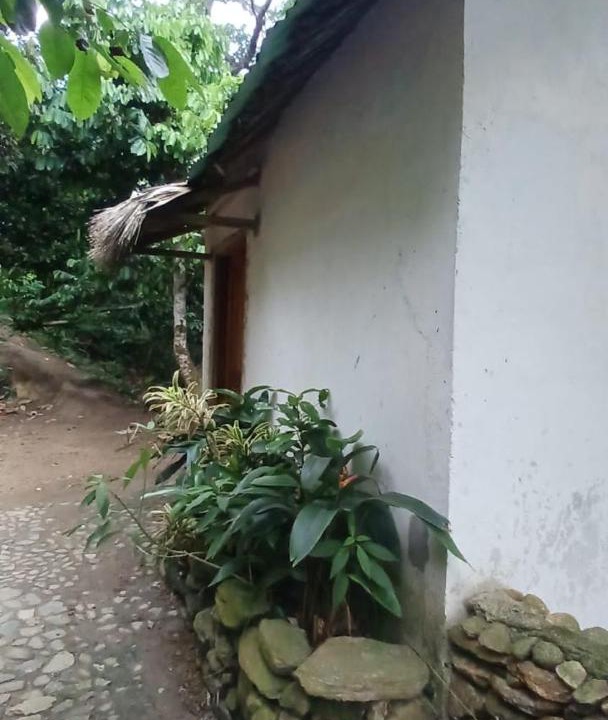 Photo of Others in Santa Marta