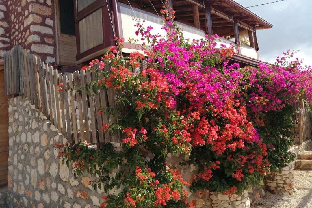 Photo of Others in Demre