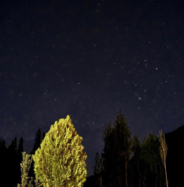 Photo of Others in Hundur