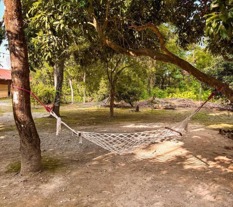 Photo of Outdoor in Sauraha