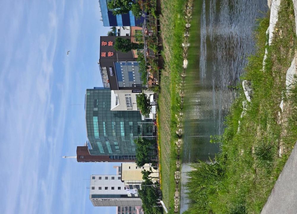 Photo of Others in Dong-gu