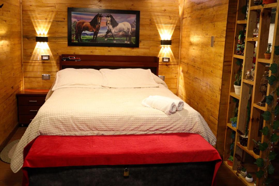 Photo of Bedroom in Santiago