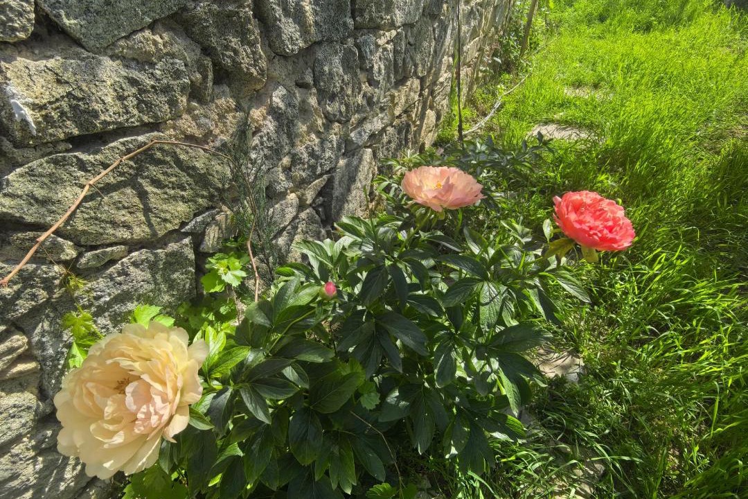 Photo of Outdoor in Hisarja