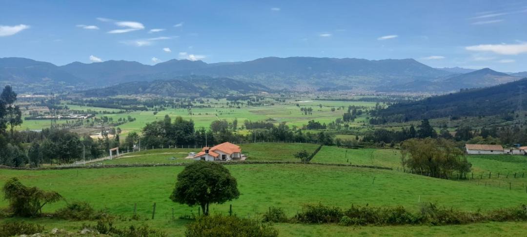 Photo of Others in Tibasosa
