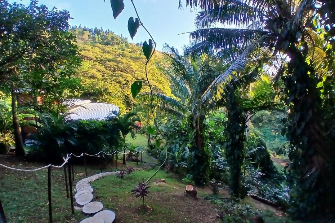 Photo of Others in Savusavu