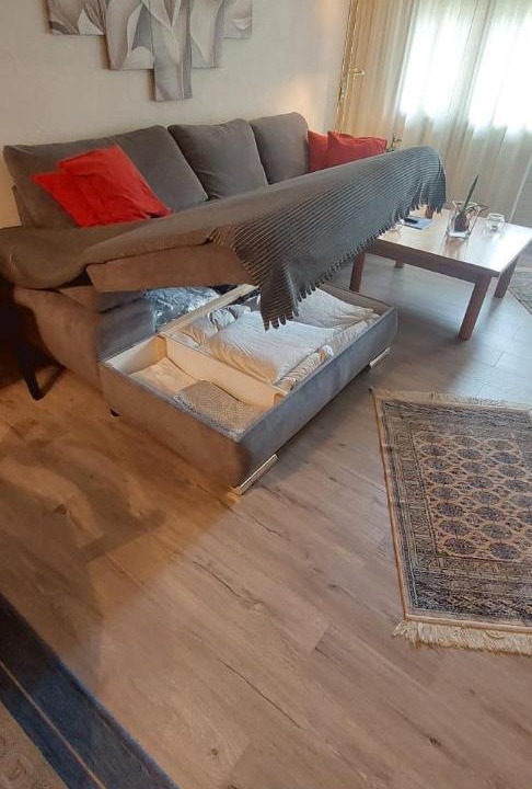 Photo of Livingroom in Disentis