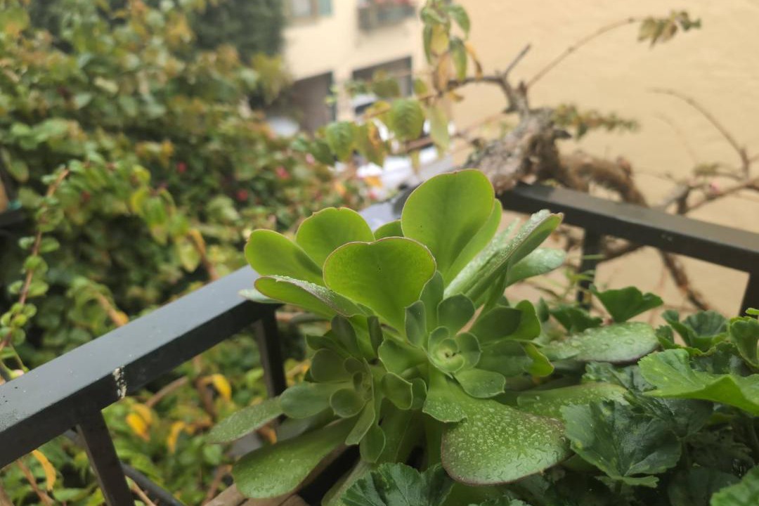 Photo of Patio Balcony in Marina District