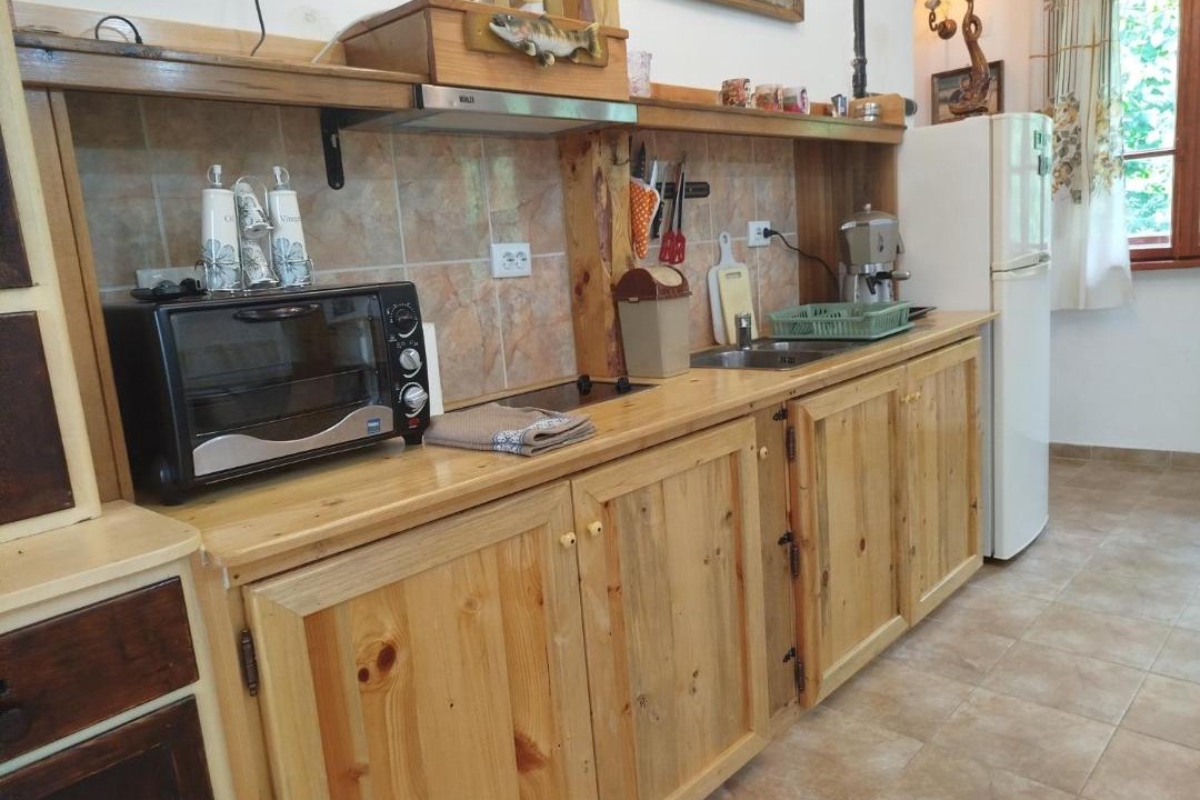 Photo of Kitchen in Ribaritsa