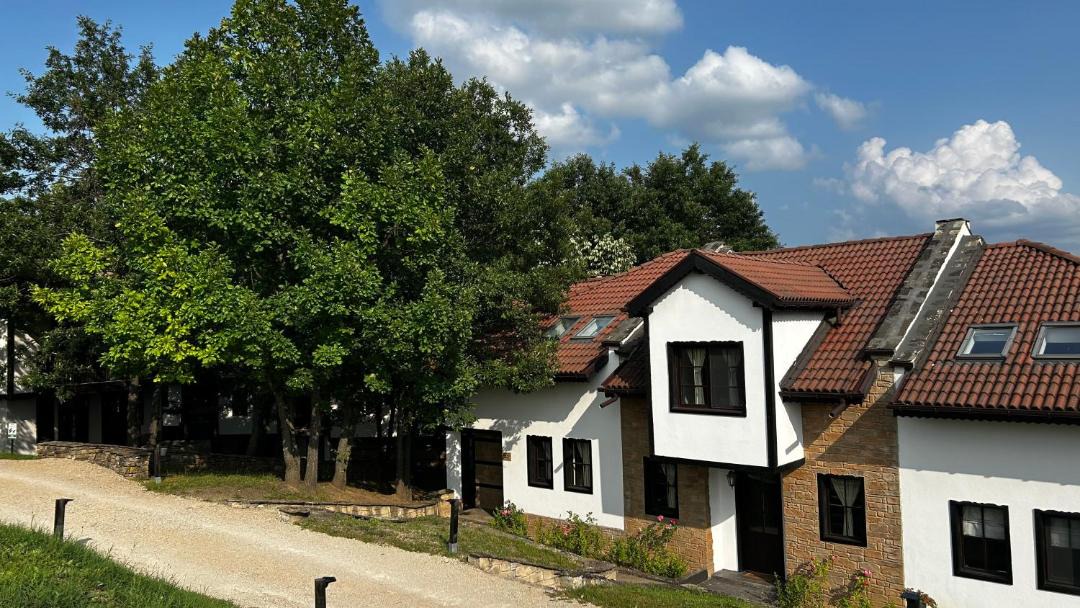Photo of Others in Dryanovo