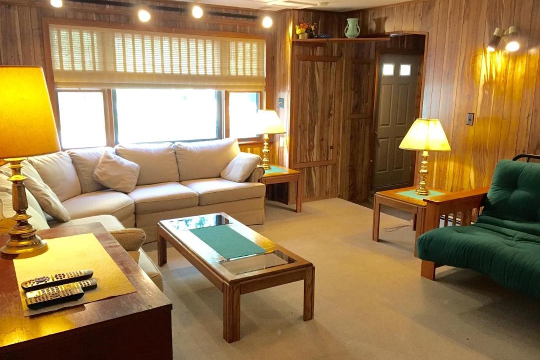 Photo of Livingroom in Oliverea