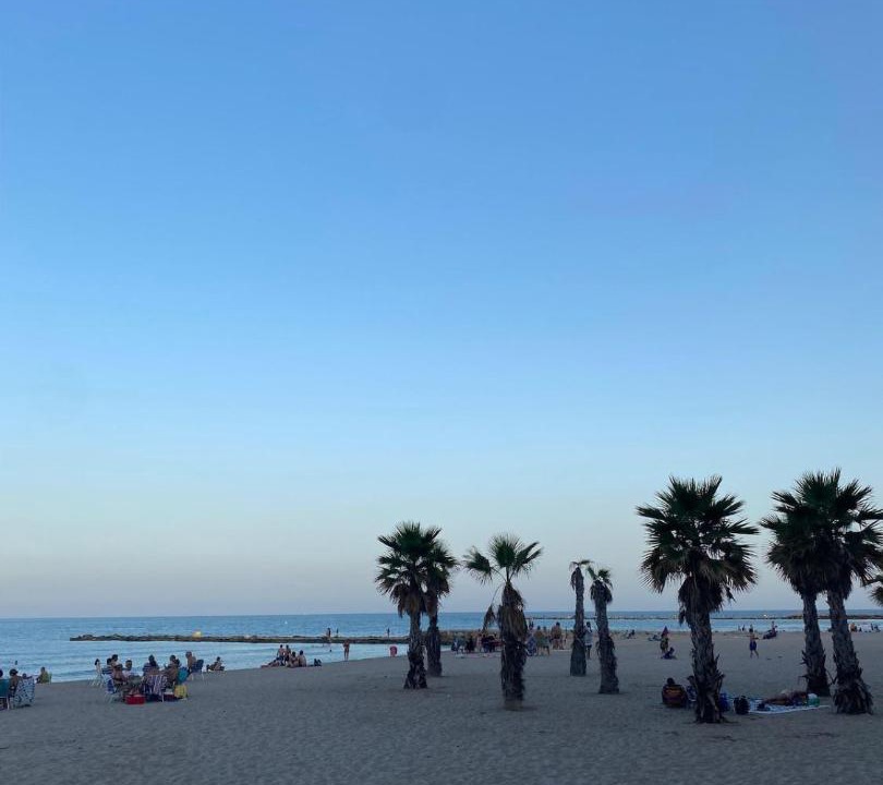 Photo of Others in Alicante
