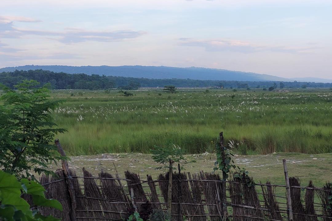 Photo of Others in Chitwan District