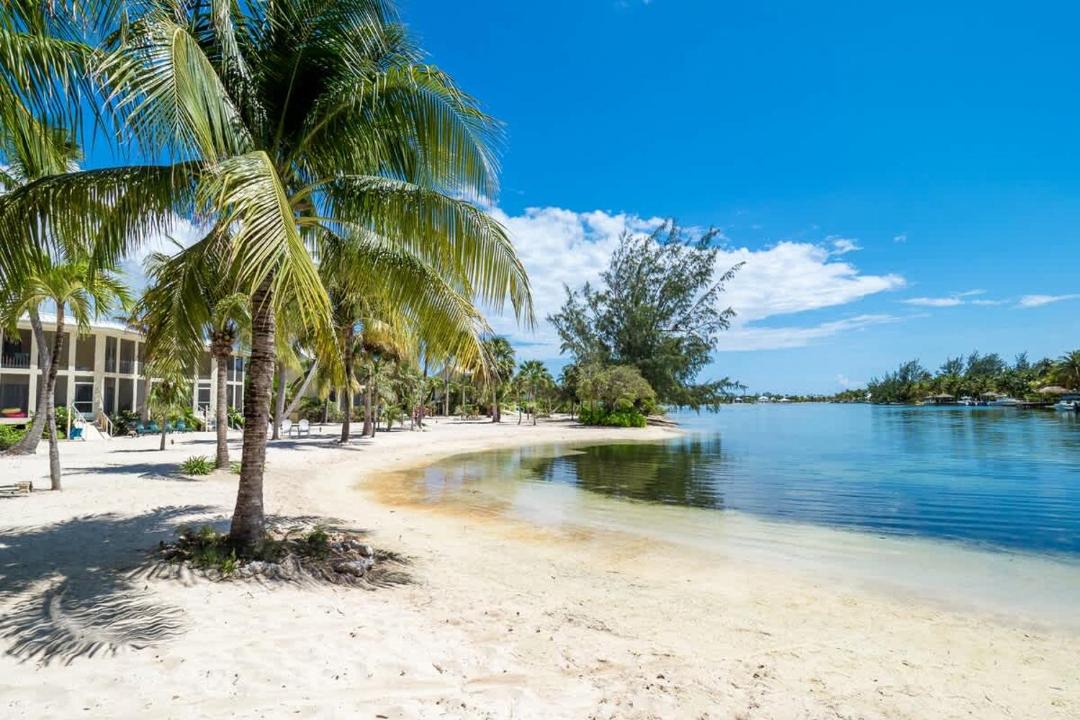 Photo of Others in Rum Point
