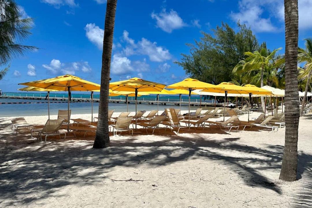 Photo of Others in Rum Point