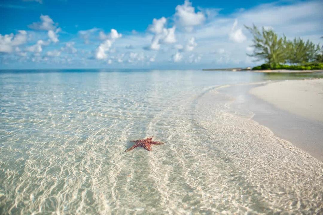 Photo of Others in Rum Point