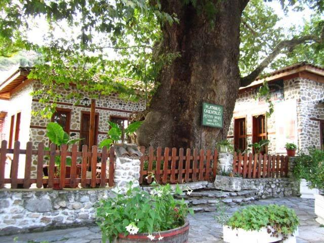 Photo of Others in Melnik